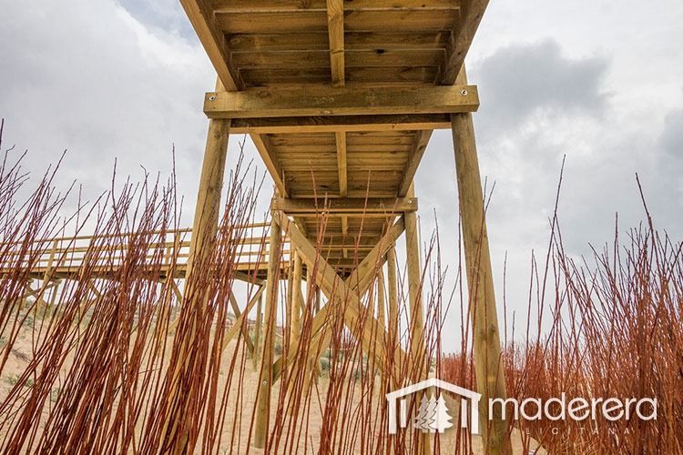 Un puente de madera cruza un campo de hierba alta.