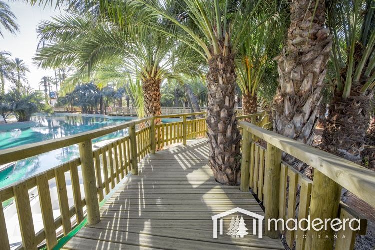 Una pasarela de madera rodeada de palmeras que conduce a una piscina.