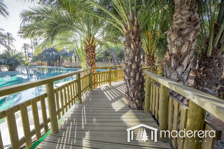 Una pasarela de madera que conduce a una piscina rodeada de palmeras.