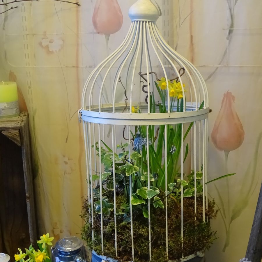 Flos Edelweiss OyFlos Edelweiss Oy