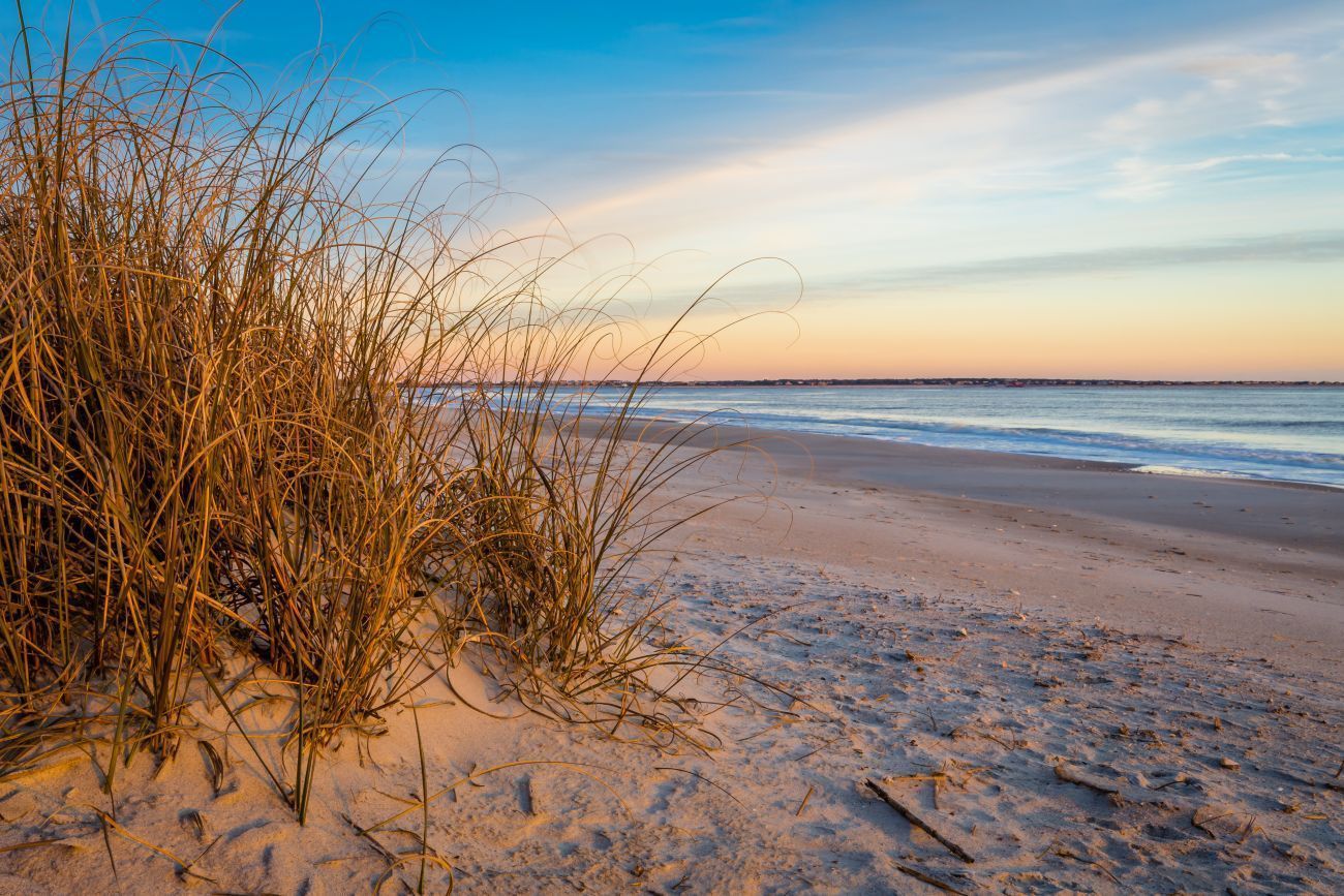Beach scene at sunrise: golden dune grass in foreground, sandy beach, calm ocean, colorful sky.