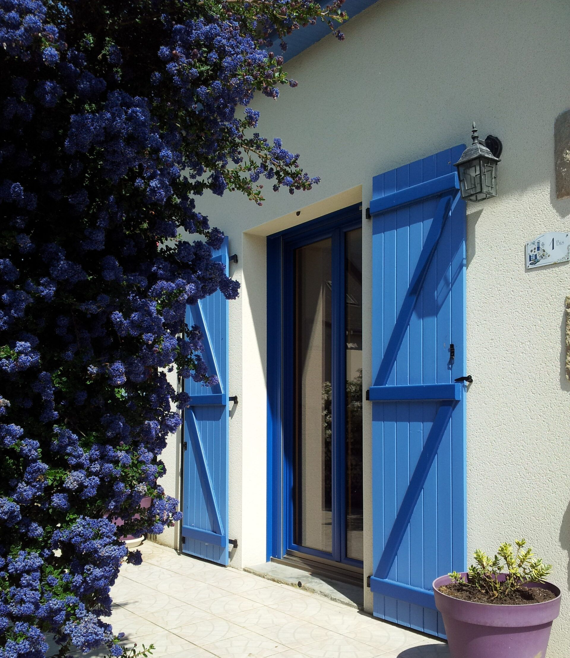 Des volets bleus en bois