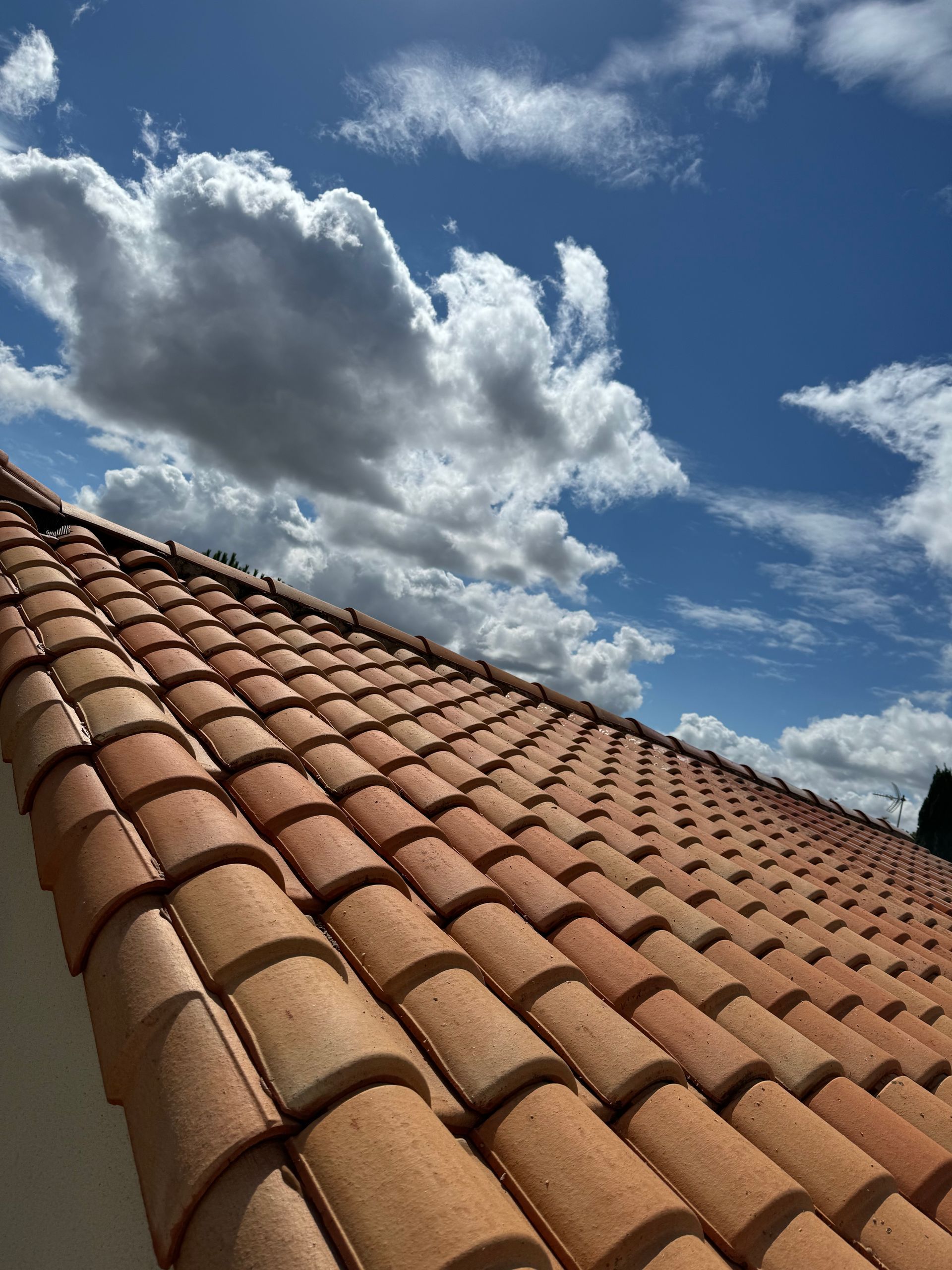 Toiture après traitement