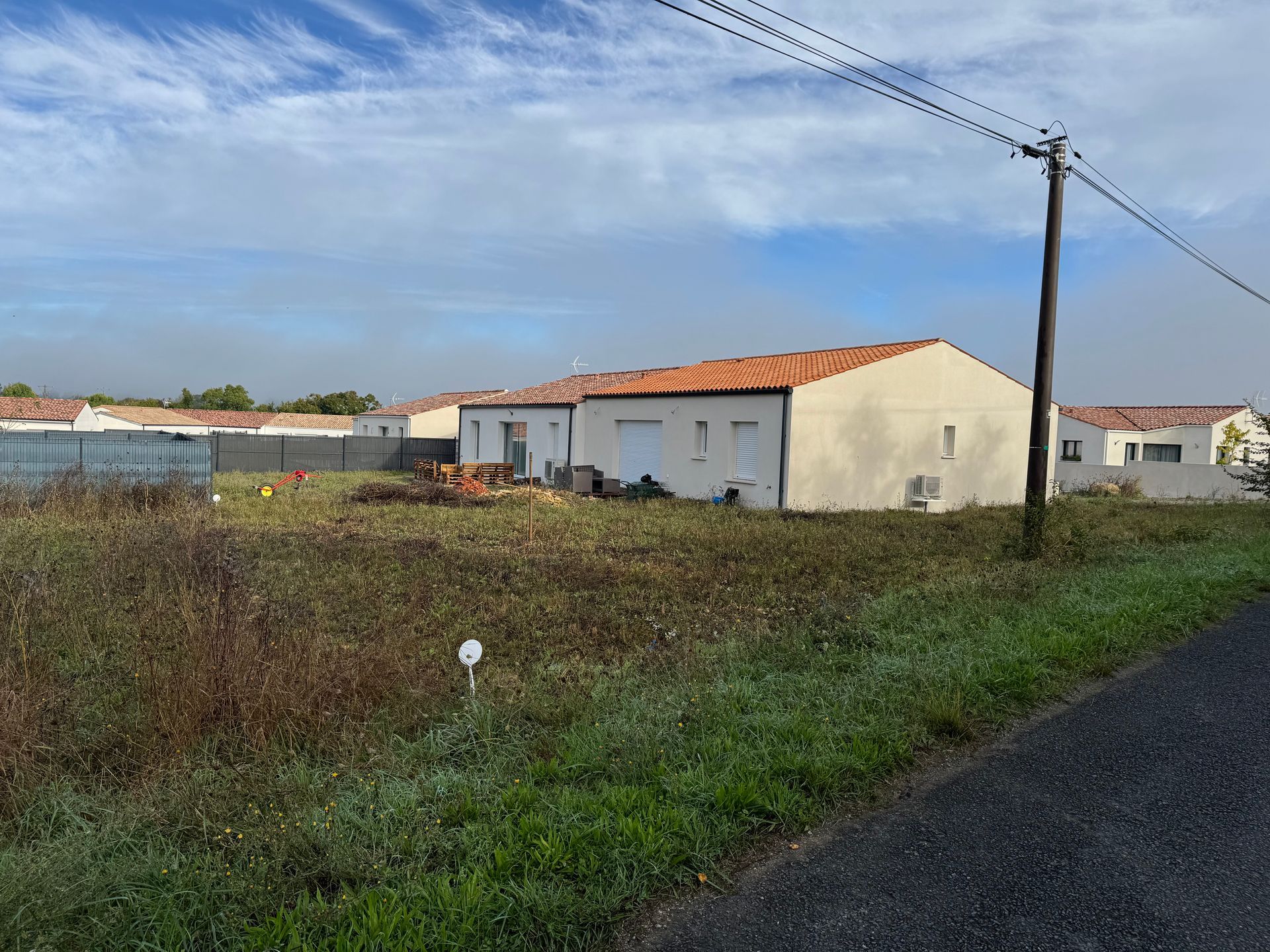 Terrain avant débroussaillage