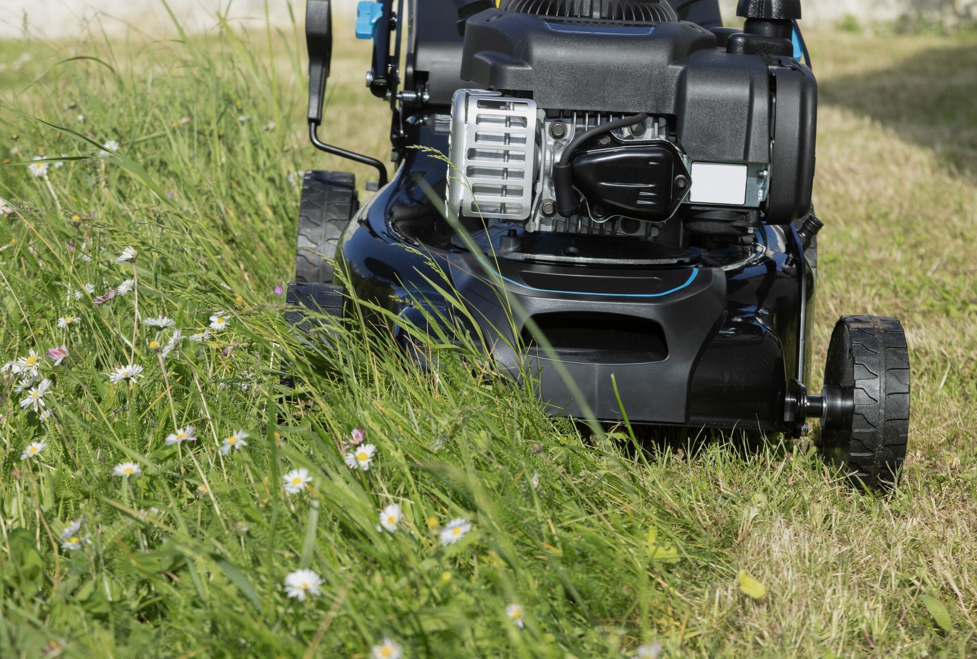 Tondeuse à gazon noire, coupant de hautes herbes vertes dans une cour ensoleillée.