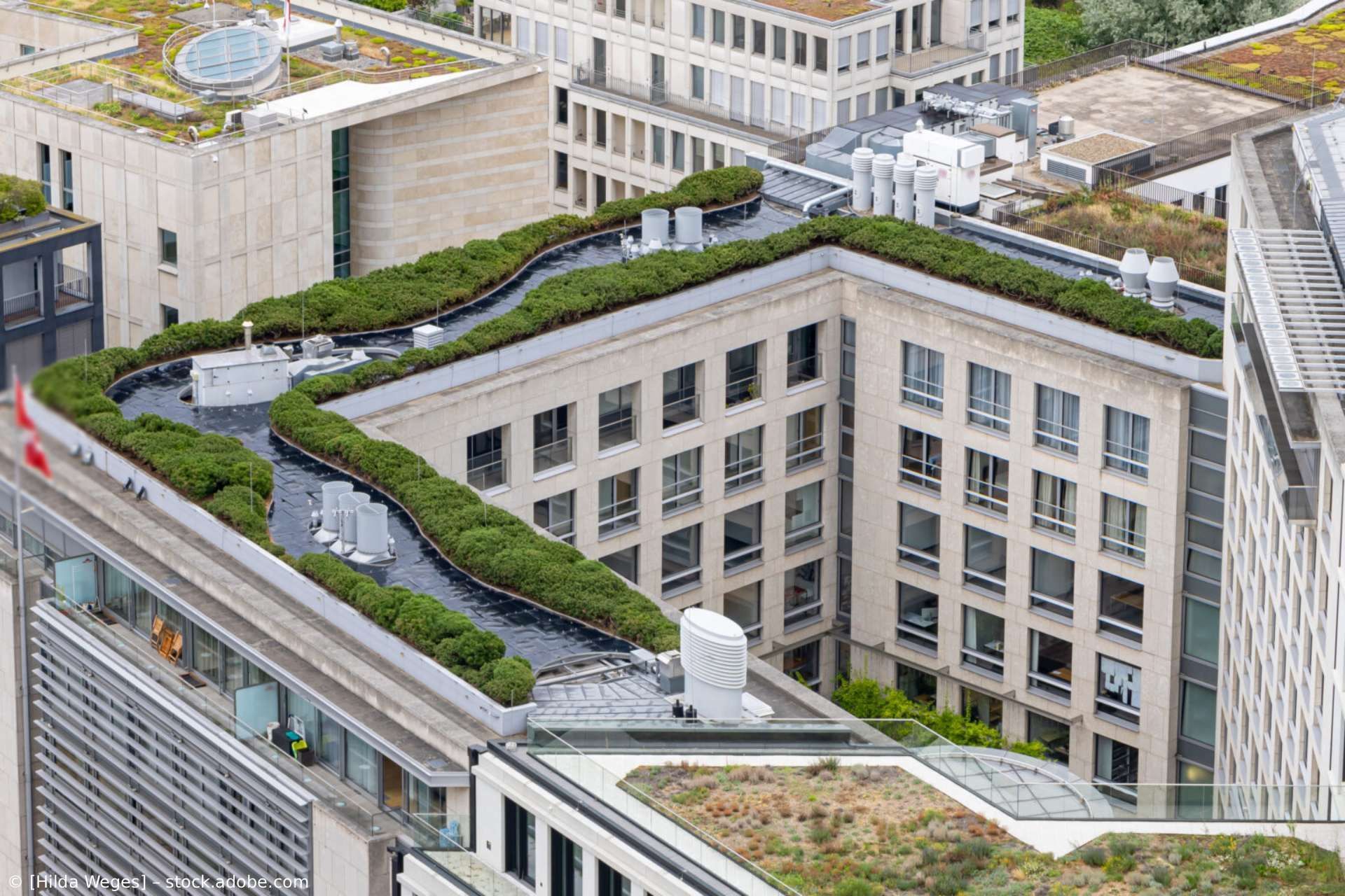 Dachgarten mit gewundenen Pfaden auf einem modernen Gebäudekomplex in urbaner Umgebung