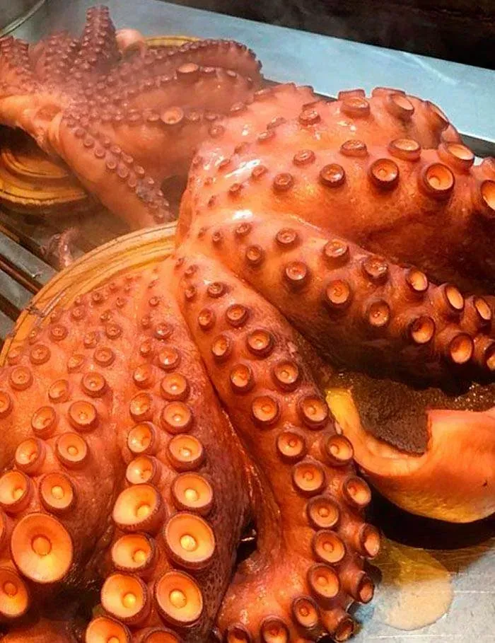 Un primer plano de un pulpo cocido en un plato.