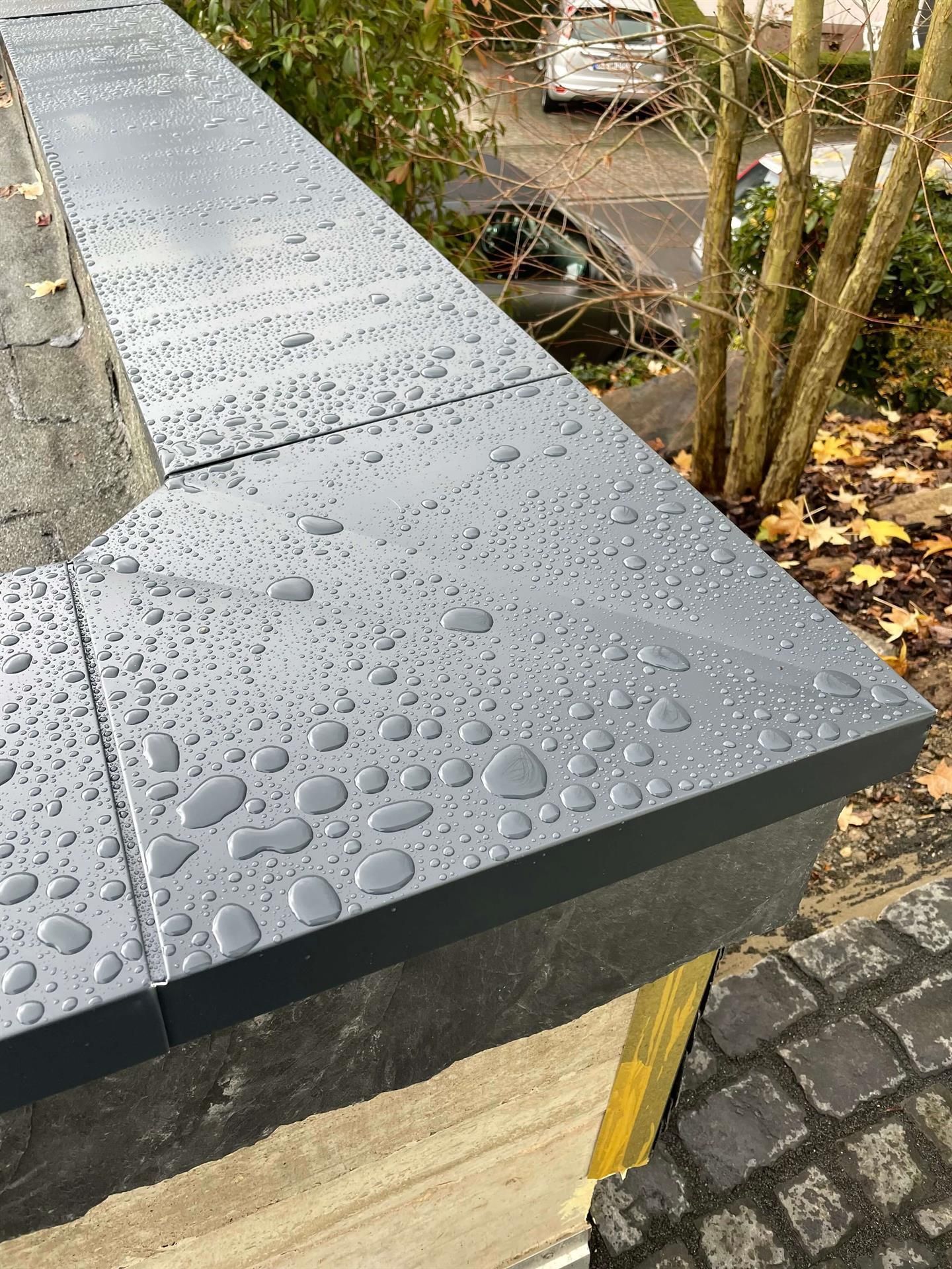 Ein Dach mit Wassertropfen darauf und einem Baum im Hintergrund.