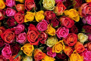 Brautstrauß mit pastellfarbenen Rosen