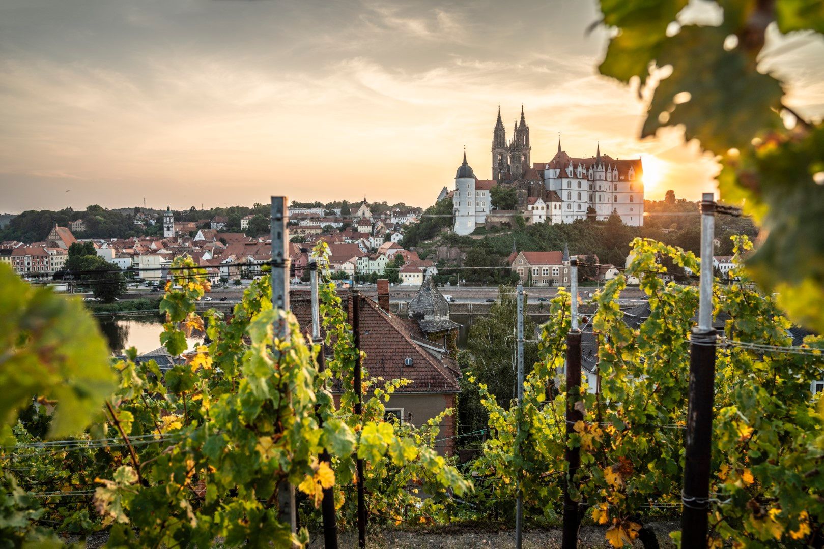 Weinberg mit Blick auf eine europäische Stadt bei Sonnenuntergang, mit einer Burg auf einem Hügel.
