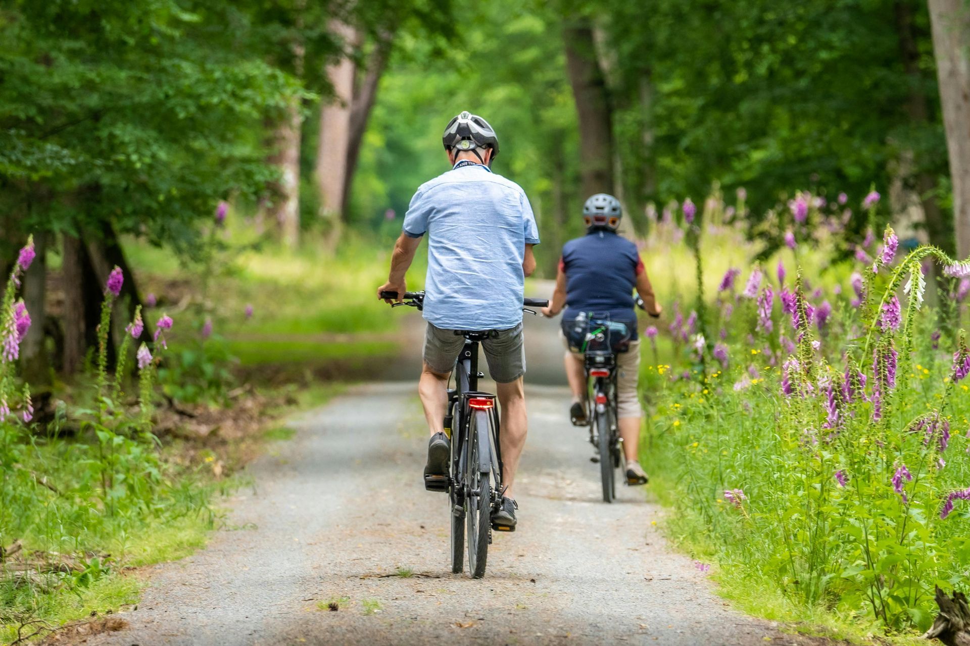 Zwei Personen fahren mit Fahrrädern auf einem gepflasterten Waldweg, der von grünem Laub und violetten Wildblumen gesäumt ist.