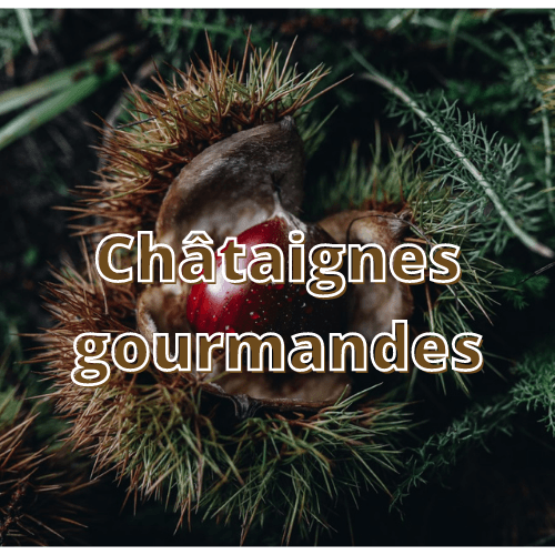 Châtaignes Gourmandes, à Varaignes, en Dordogne (24)