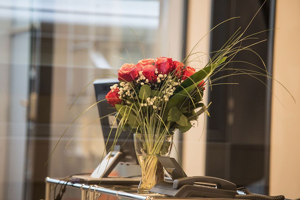 rechtsanwalt dr johann schmidt nürnberg kanzlei