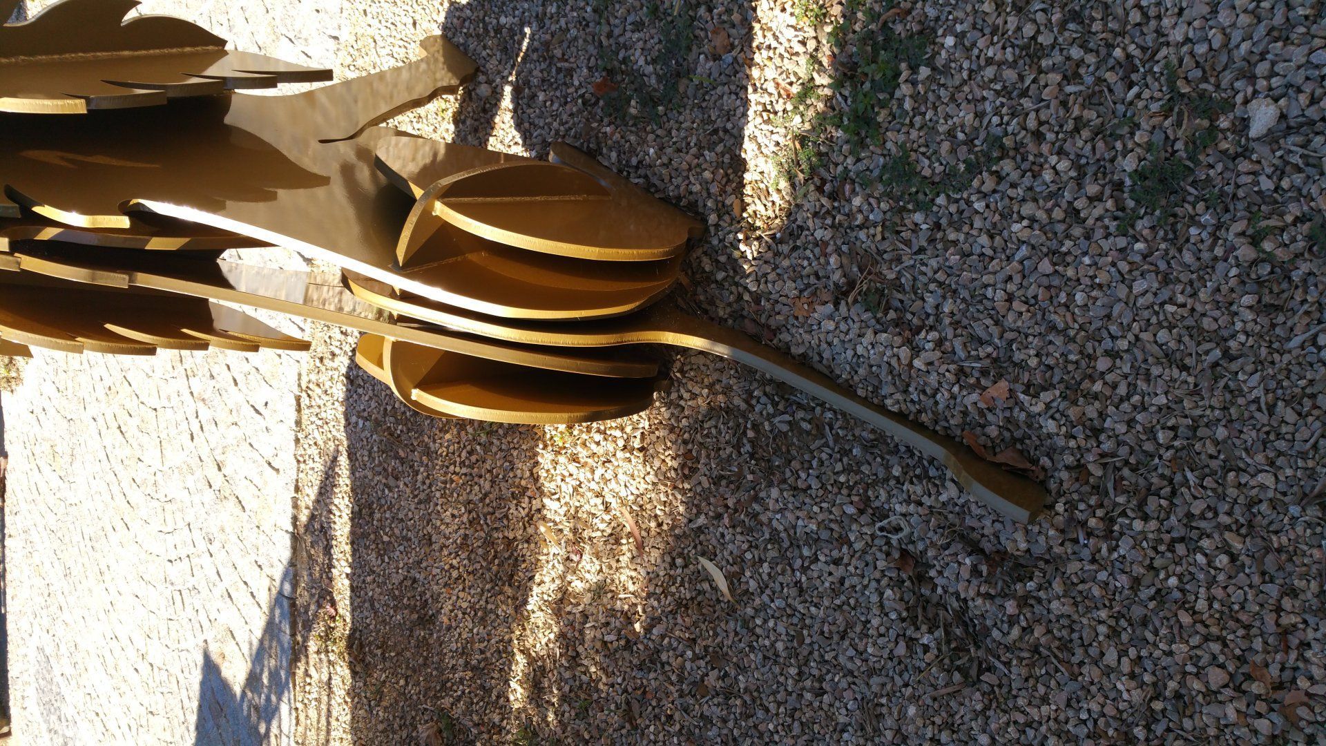 Gros plan sur une feuille ou une tige de plante jaune-brun sur du béton rugueux, éclairée par une vive lumière du soleil.