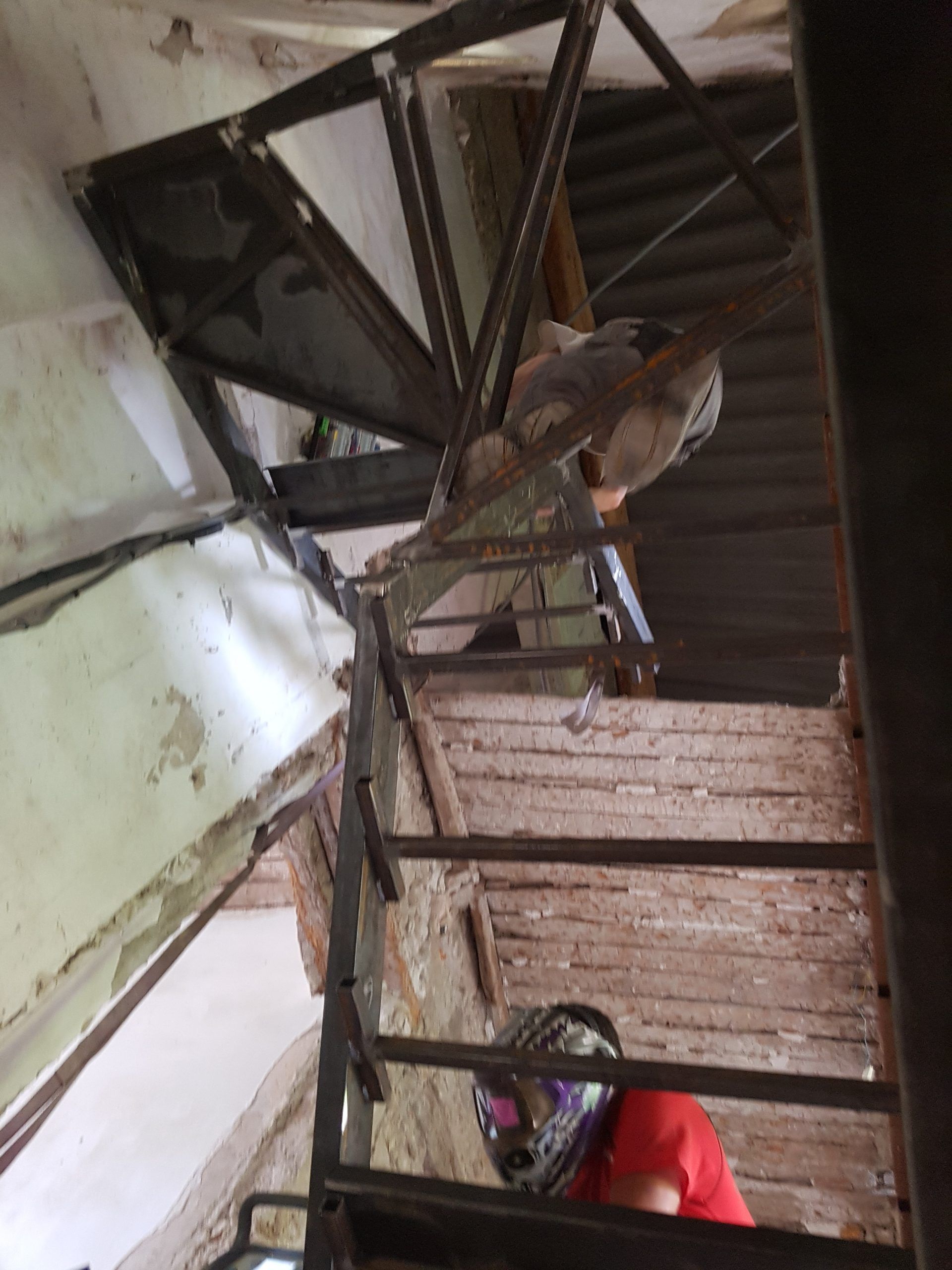 Deux chats perchés sur un escalier métallique à l'intérieur d'un couloir industriel étroit