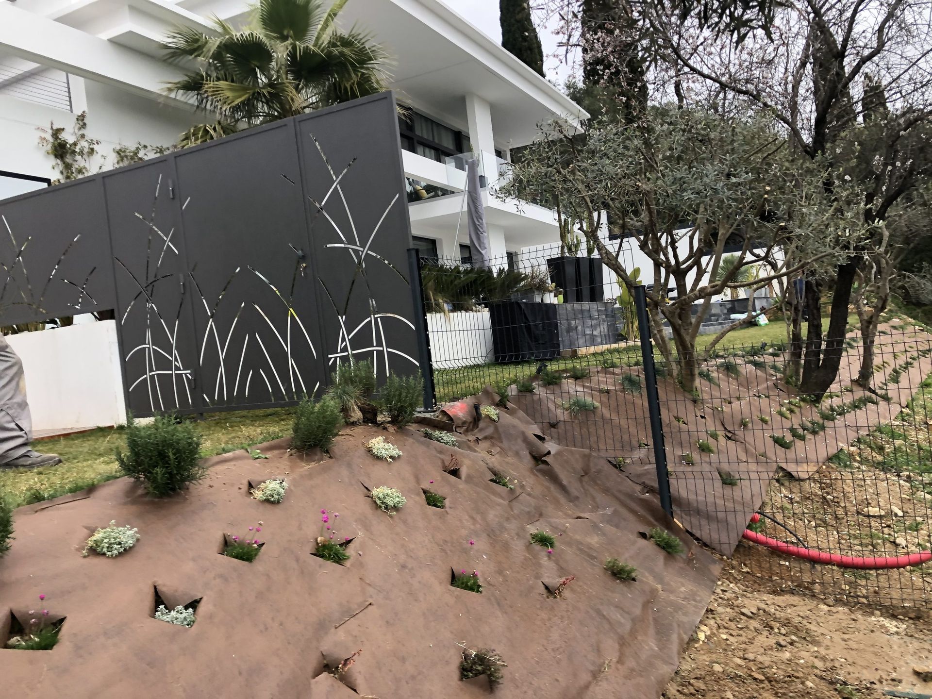 Maison moderne avec un mur d'intimité sombre, un terrain en pente aménagé, des arbres et un tuyau d'arrosage rouge dans la cour