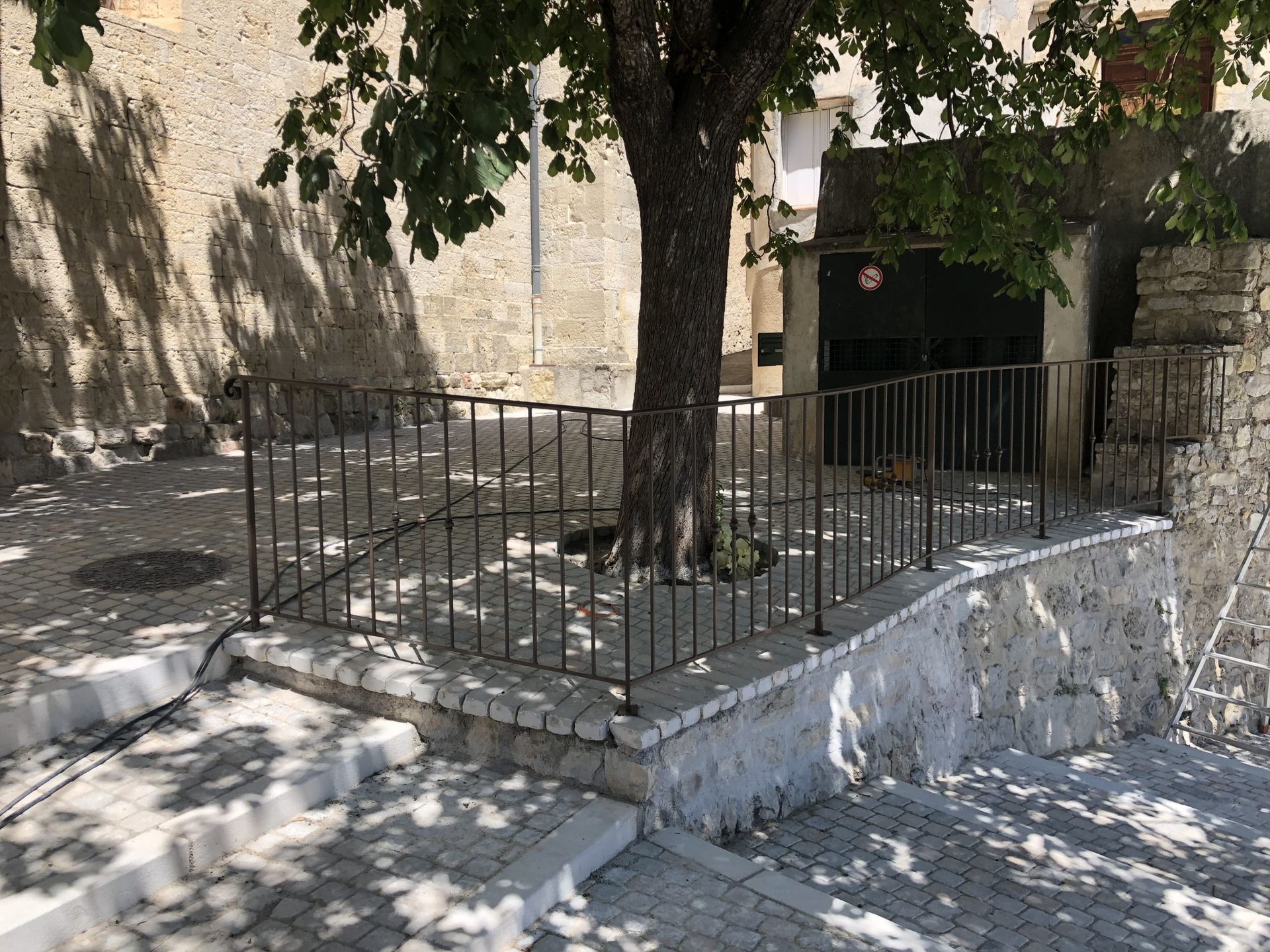 Arbre entouré d'une clôture en fer noir sur une plateforme en pierre dans une cour ensoleillée.