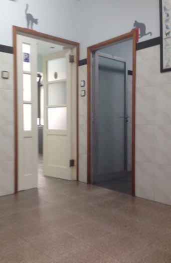 Un pasillo con dos puertas y un gato en la pared.