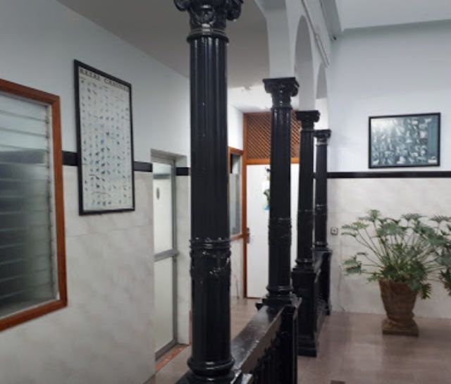 Un pasillo con columnas y una planta en maceta.