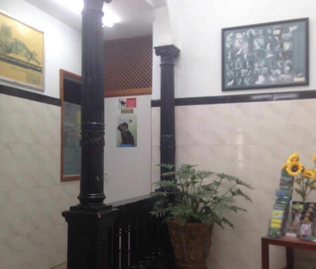 Una habitación con una planta y un cuadro en la pared.