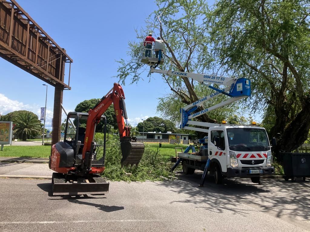 Élagage avec nacelle