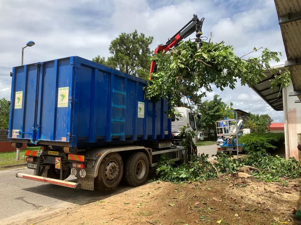 Récupération des branches