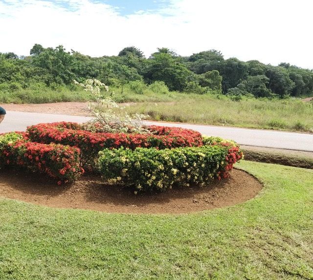 Entretien du rond-point