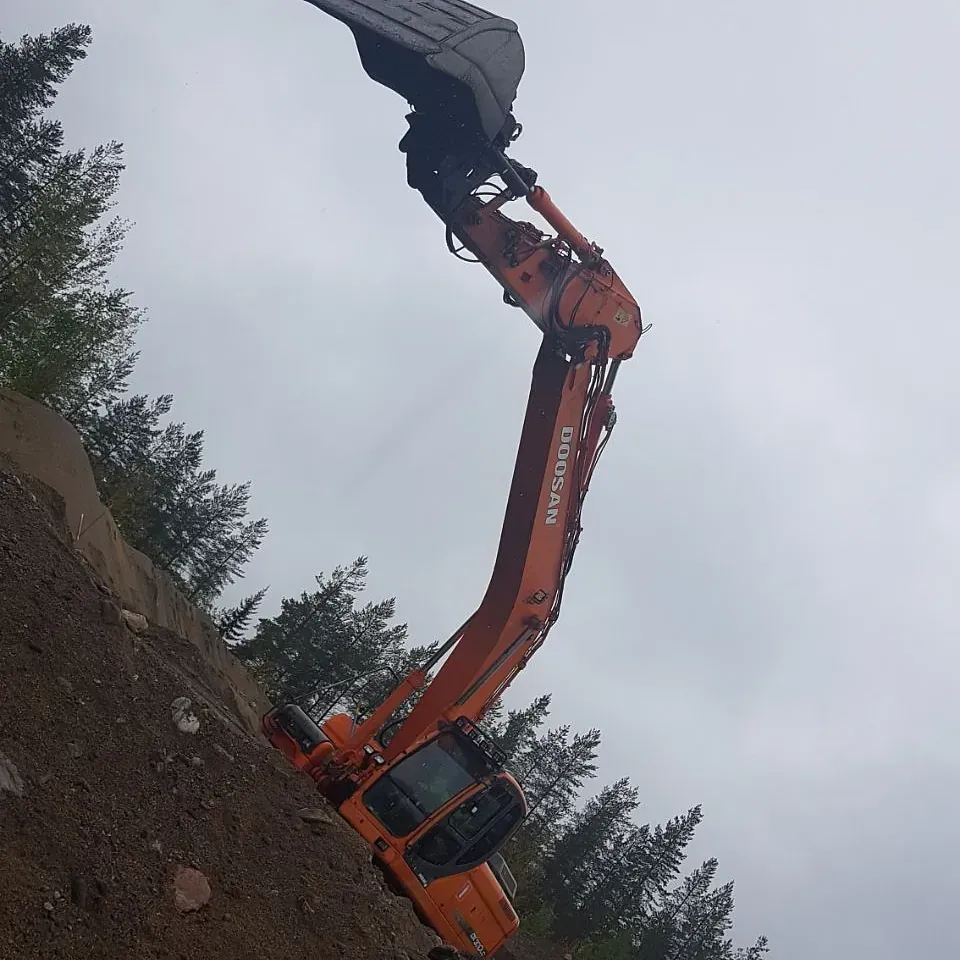 Liikenne Ruotsalainen Oy