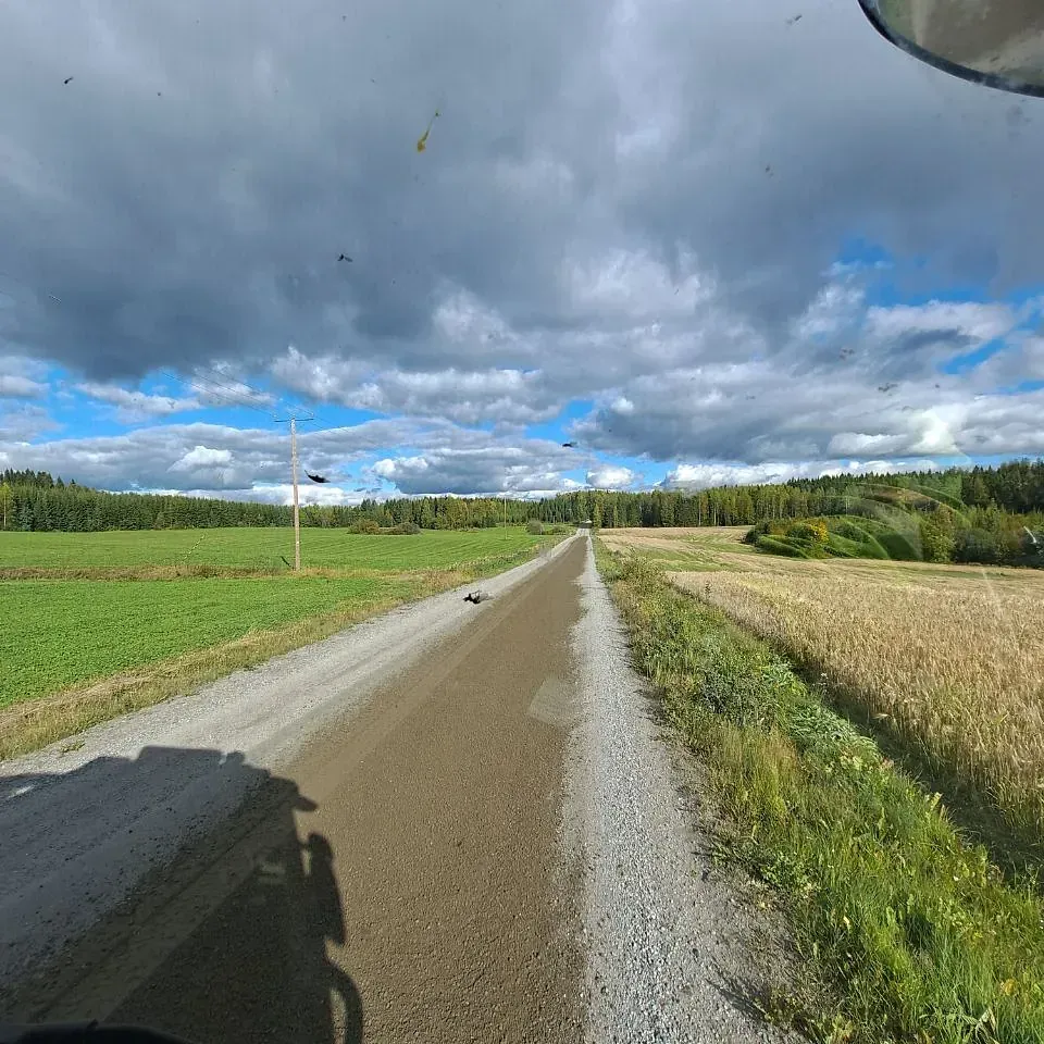 Liikenne Ruotsalainen Oy