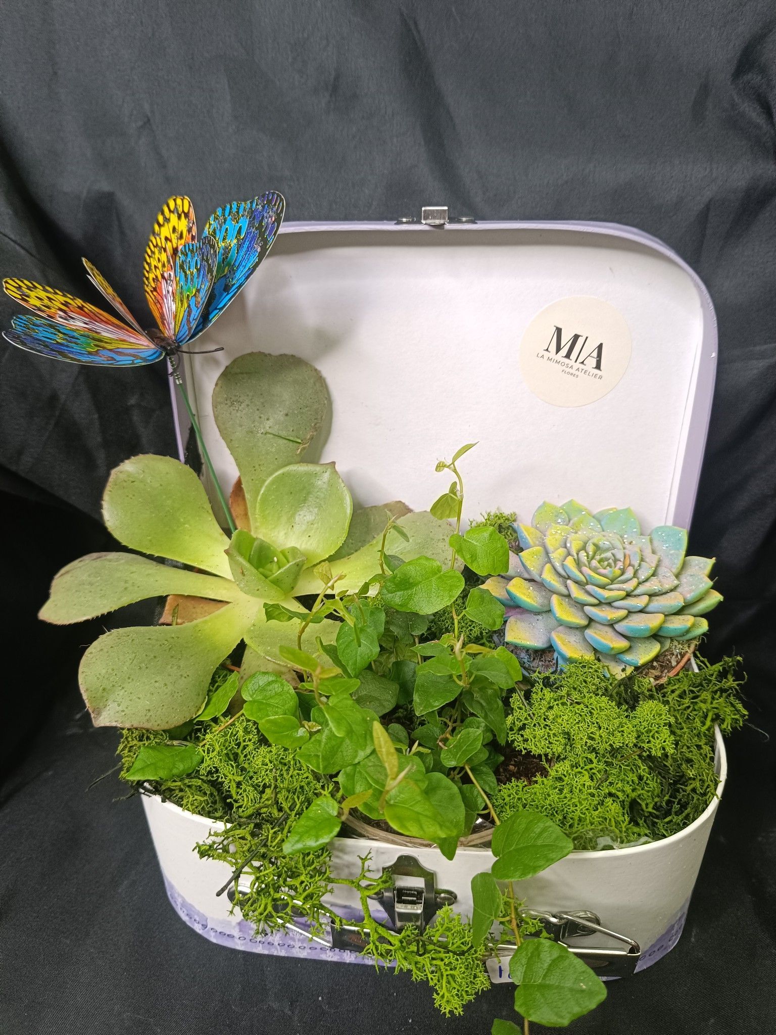 Suculentas y vegetación en una maceta blanca con forma de maleta y decoración de mariposas.