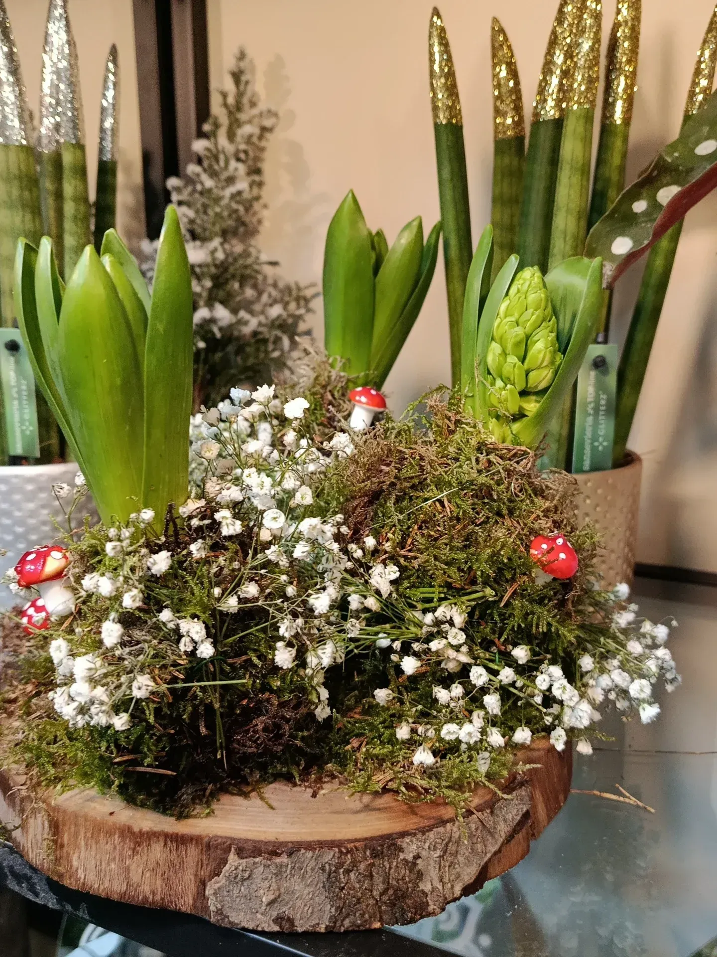 Arreglo floral en maceta con suculentas verdes y flores blancas sobre una base de madera con detalles de bayas rojas.