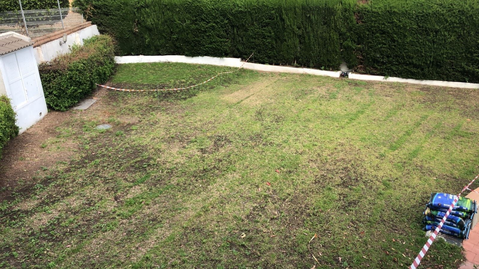 Césped con parches de hierba marrón, rodeado de un seto verde y una pequeña estructura blanca.