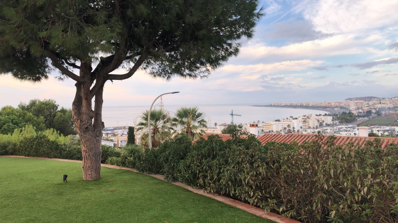 Césped verde exuberante con un árbol, con vista a una ciudad costera, al océano y al cielo nublado.