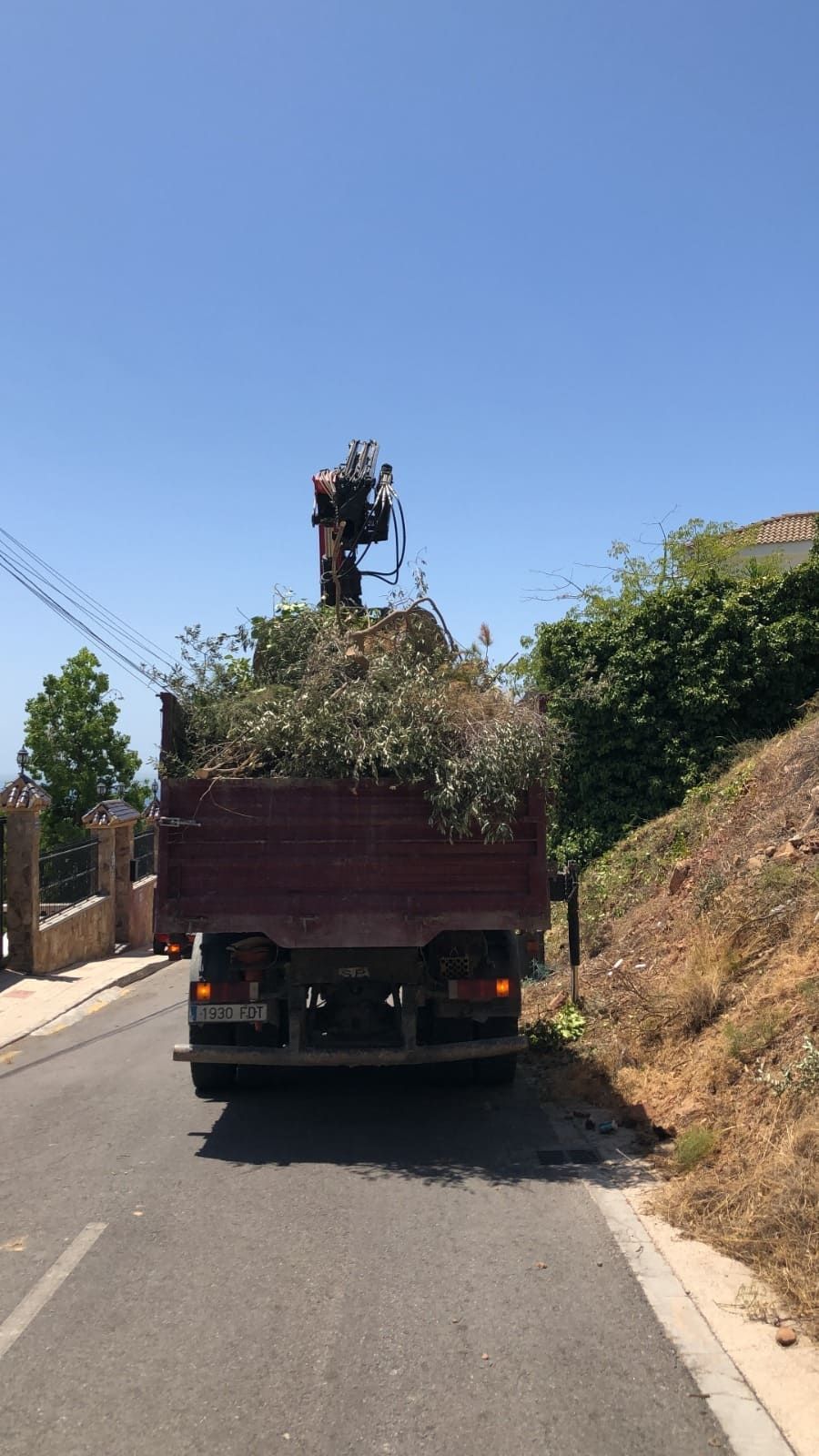 Caja de camión llena de ramas verdes y una grúa en una carretera estrecha en un día soleado.