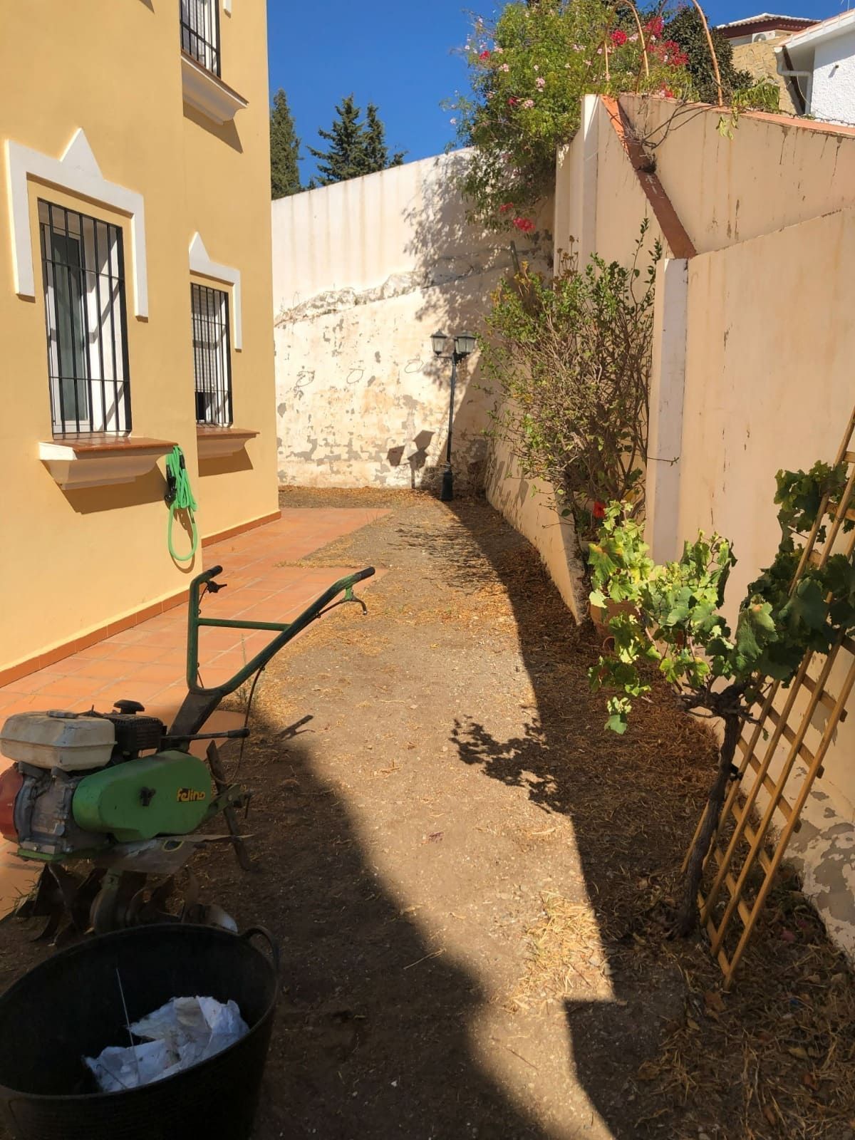 Espacio exterior estrecho entre dos edificios, con cultivador y materiales de jardinería. Paredes soleadas y de color claro.