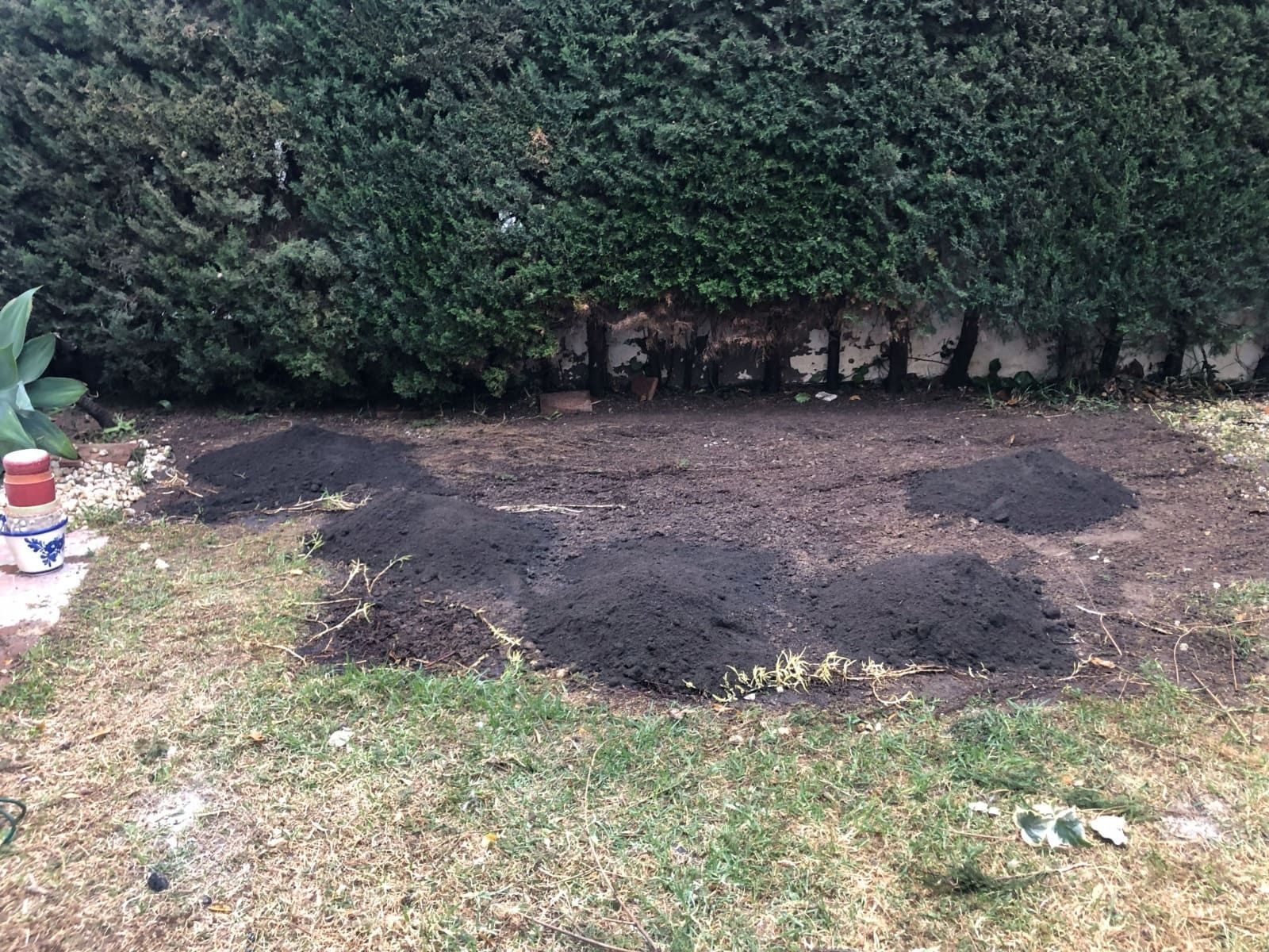 Montículos de tierra oscura sobre un césped, al lado de un seto.