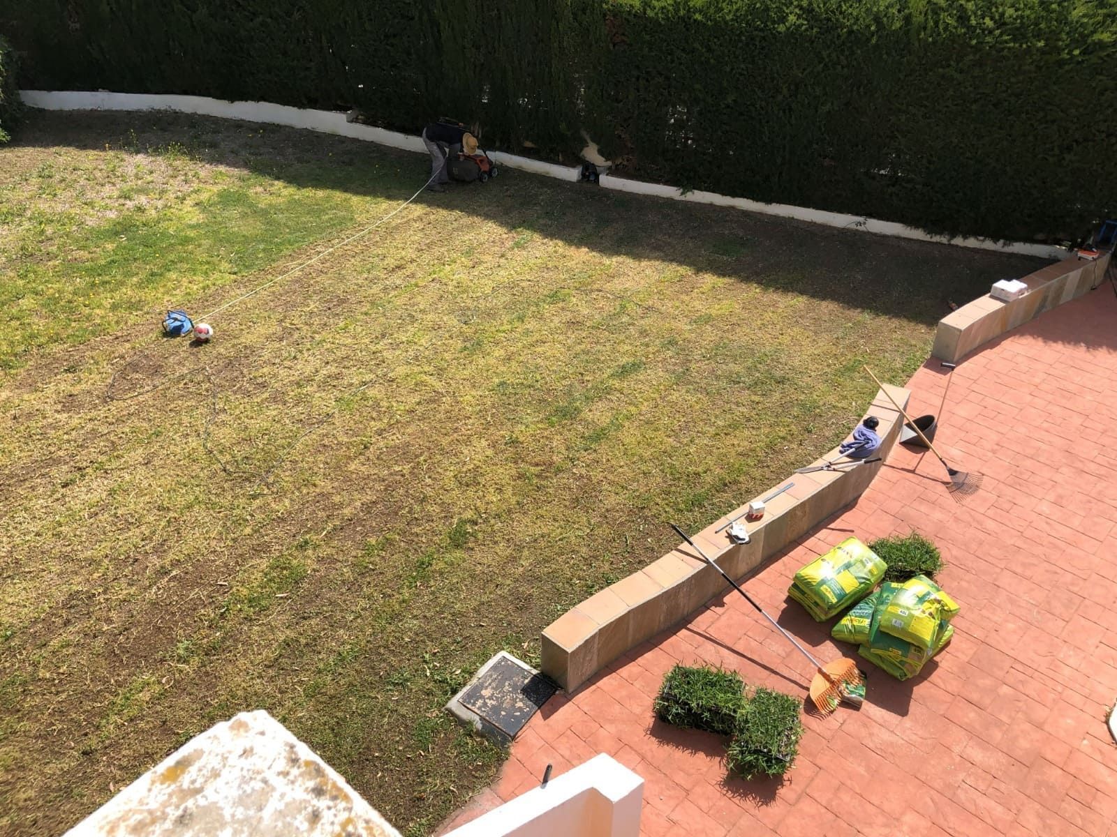Trabajadores instalando césped en un patio con un muro de contención de hormigón, césped verde y seto.