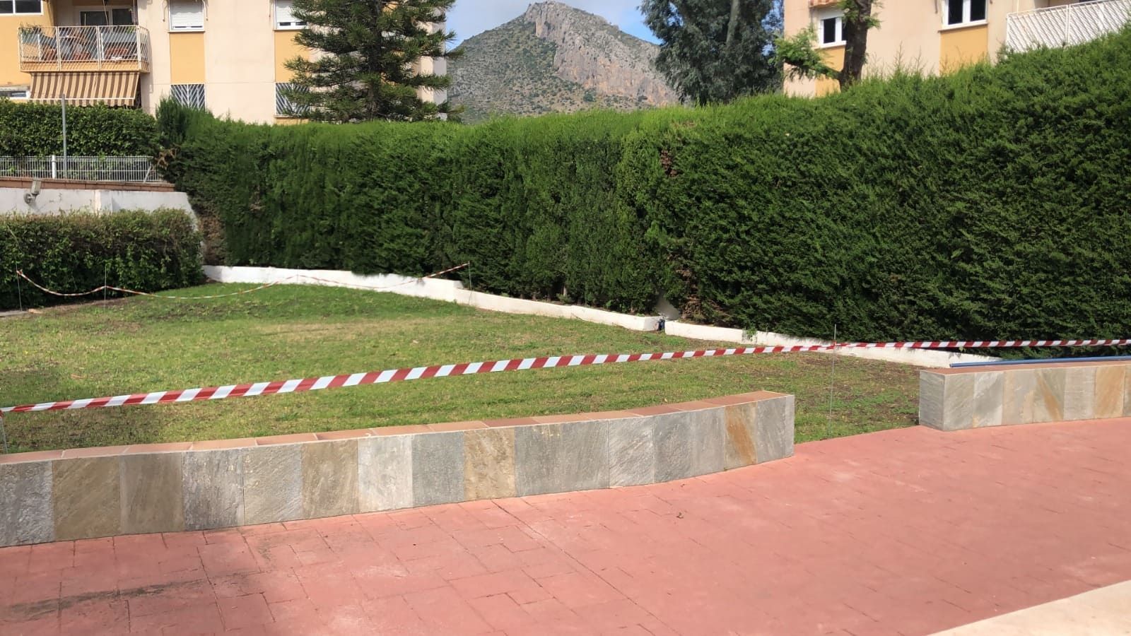 Un césped bien cuidado con un camino de ladrillos rojos, bordeado de piedras y un seto verde alto.