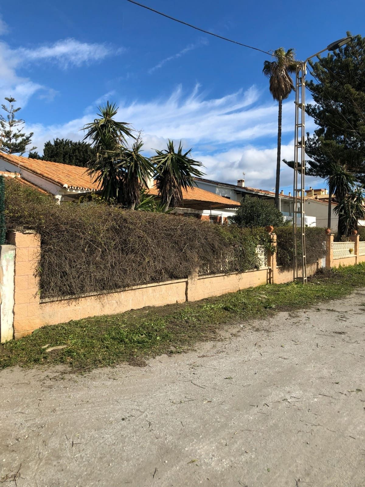 Un seto bajo y cubierto de vegetación sobre un muro beige bordea un camino de tierra, con casas y un cielo azul visibles.