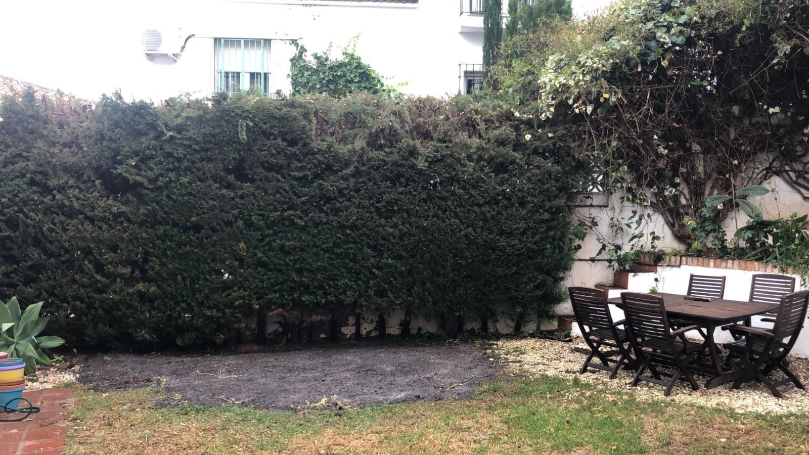 Seto verde en un patio trasero, al lado de una mesa y sillas, sobre un césped con grava y plantas.