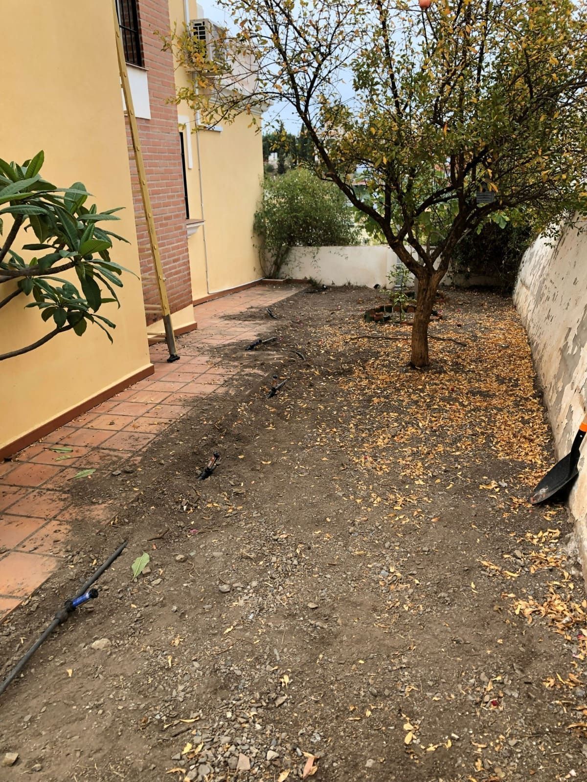 Macizo de tierra desnuda con un árbol, entre dos paredes y un edificio.