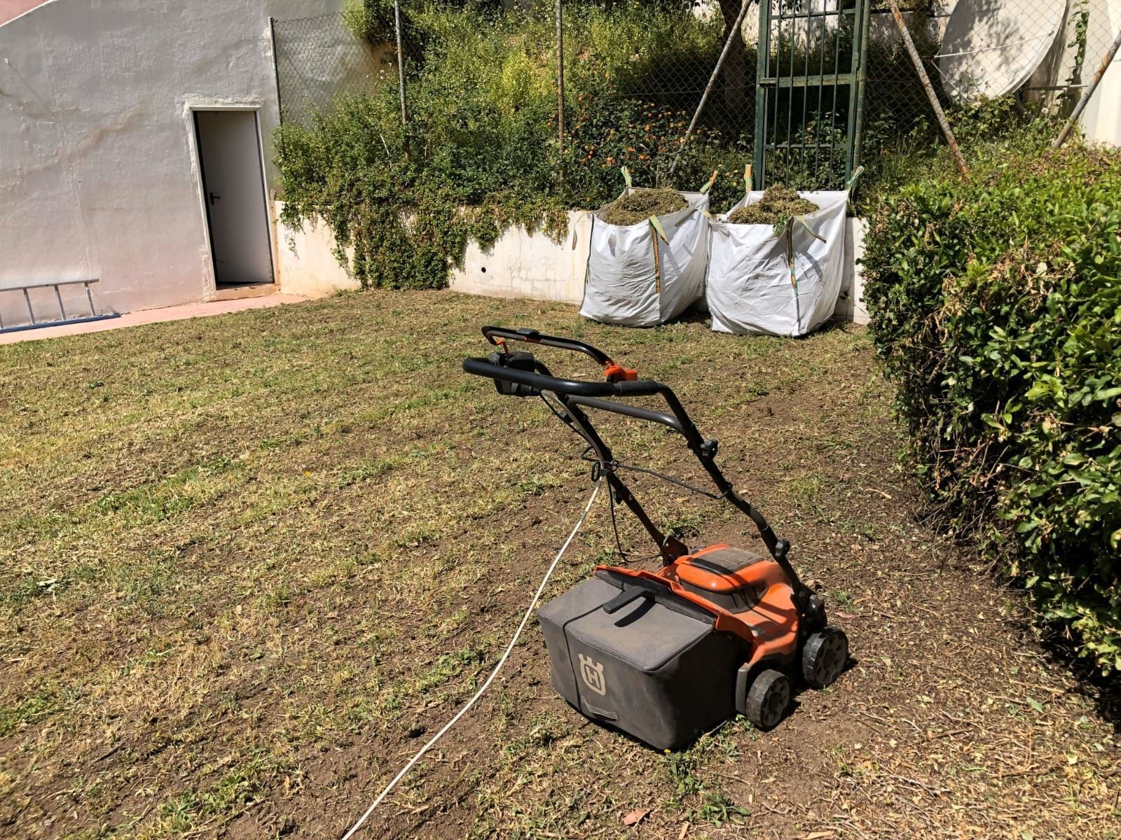 Una cortadora de césped sobre un césped irregular con bolsas de recortes. Se ven un edificio blanco y arbustos en el patio soleado.