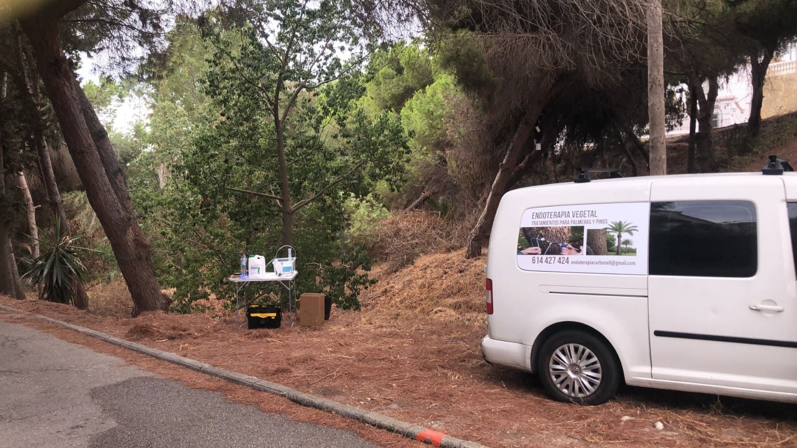 Furgoneta blanca estacionada junto a un puesto de venta de alimentos, frente a unos árboles. Letrero en la furgoneta.