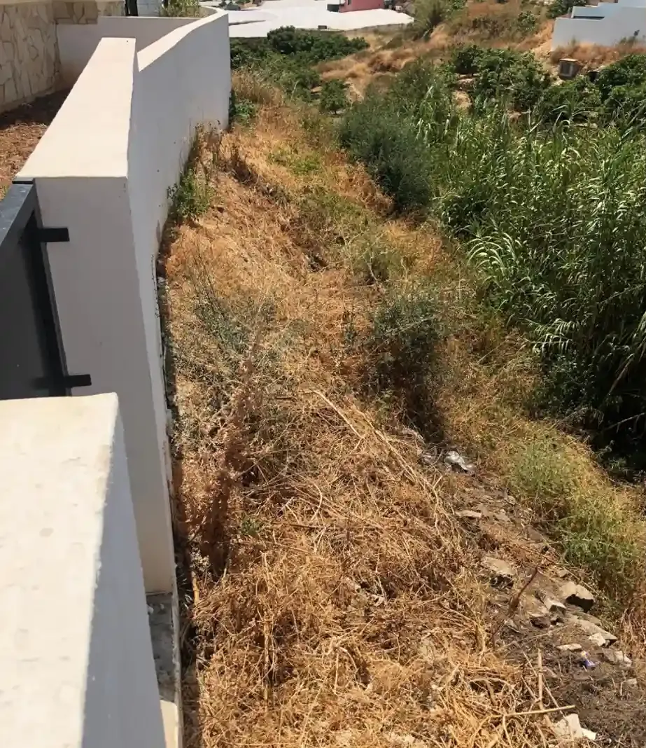 Un muro de contención con hierba seca y maleza creciendo en la zona adyacente.