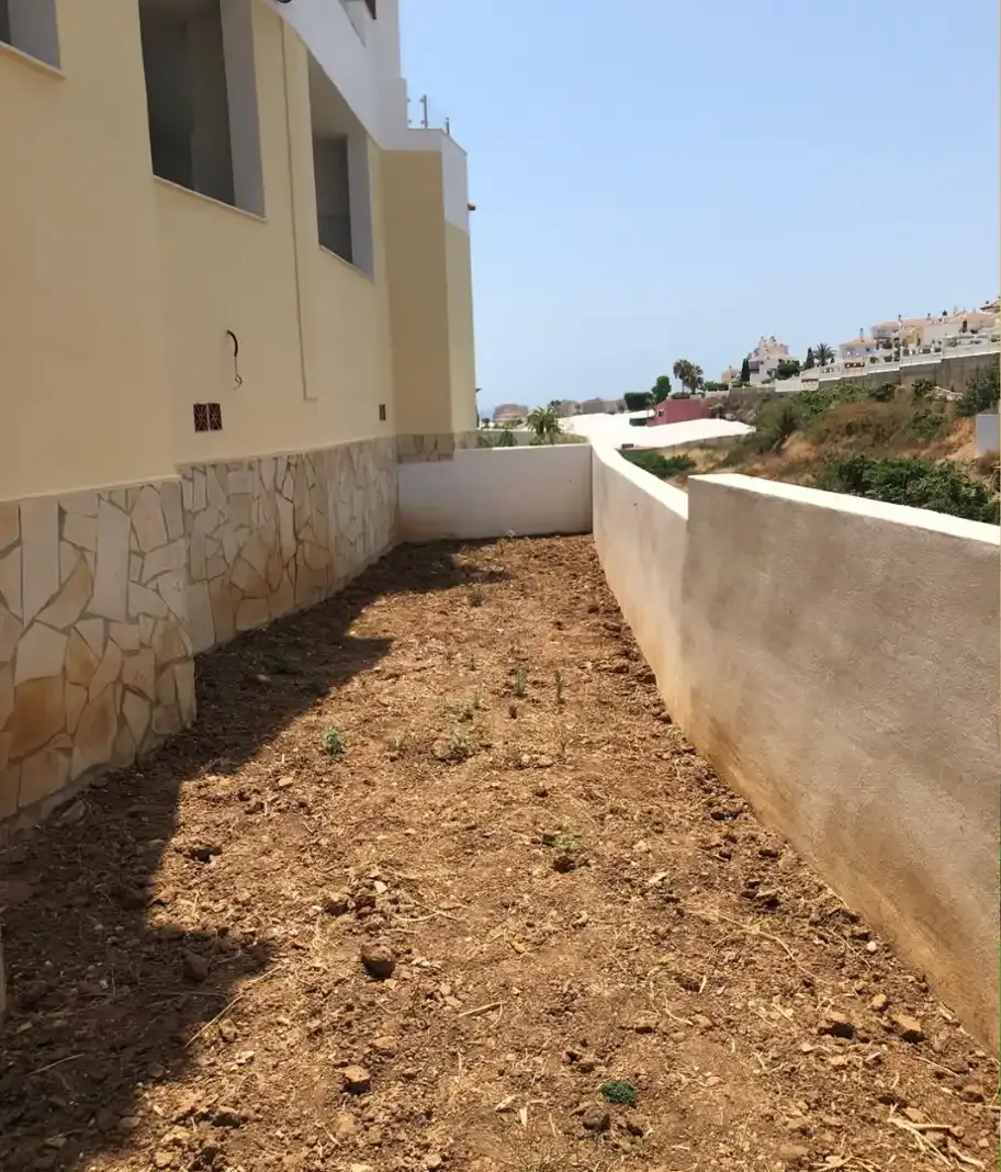 Un estrecho parterre de tierra junto a un edificio amarillo claro y un muro de hormigón, bajo un cielo brillante y soleado.