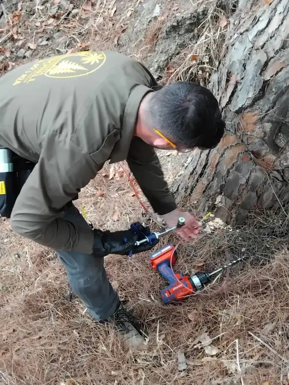 Hombre utilizando un taladro en el tronco de un árbol, al aire libre. Lleva gafas de seguridad y uniforme.