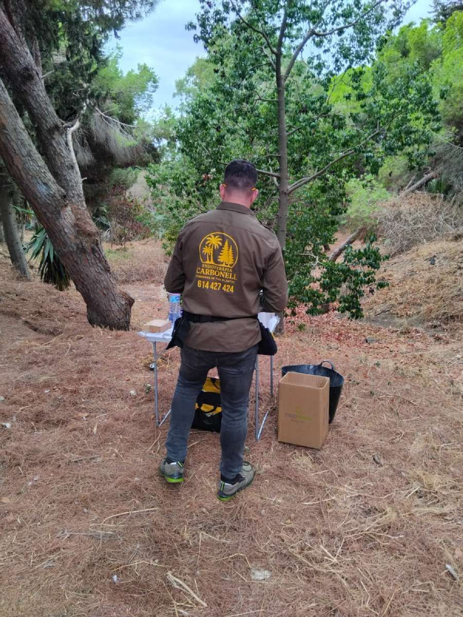 Hombre con camisa marrón en un bosque, de pie junto a una mesita. Lleva vaqueros negros y zapatos verdes.