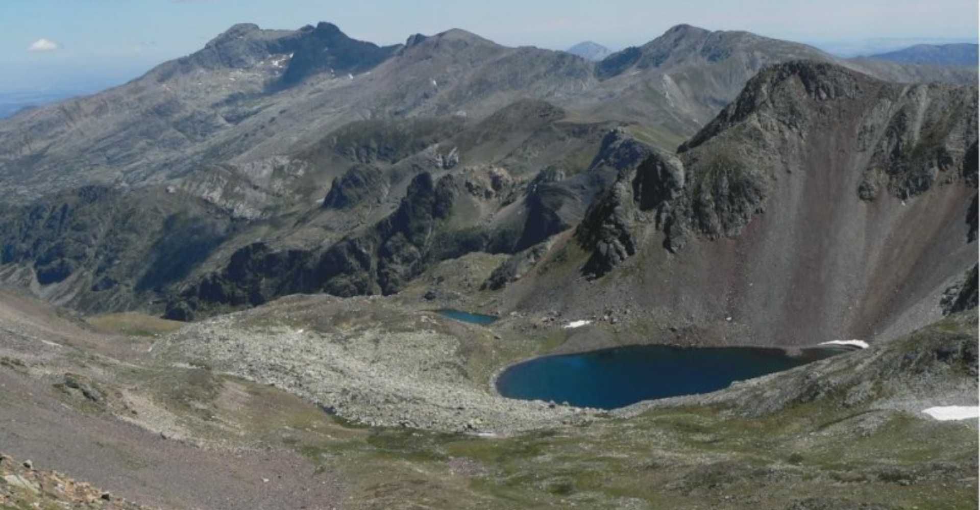 Flor de orquídea con centro rojo oscuro y azul, tallo verde y pétalos verdes.