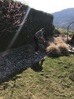 Entretien du jardin