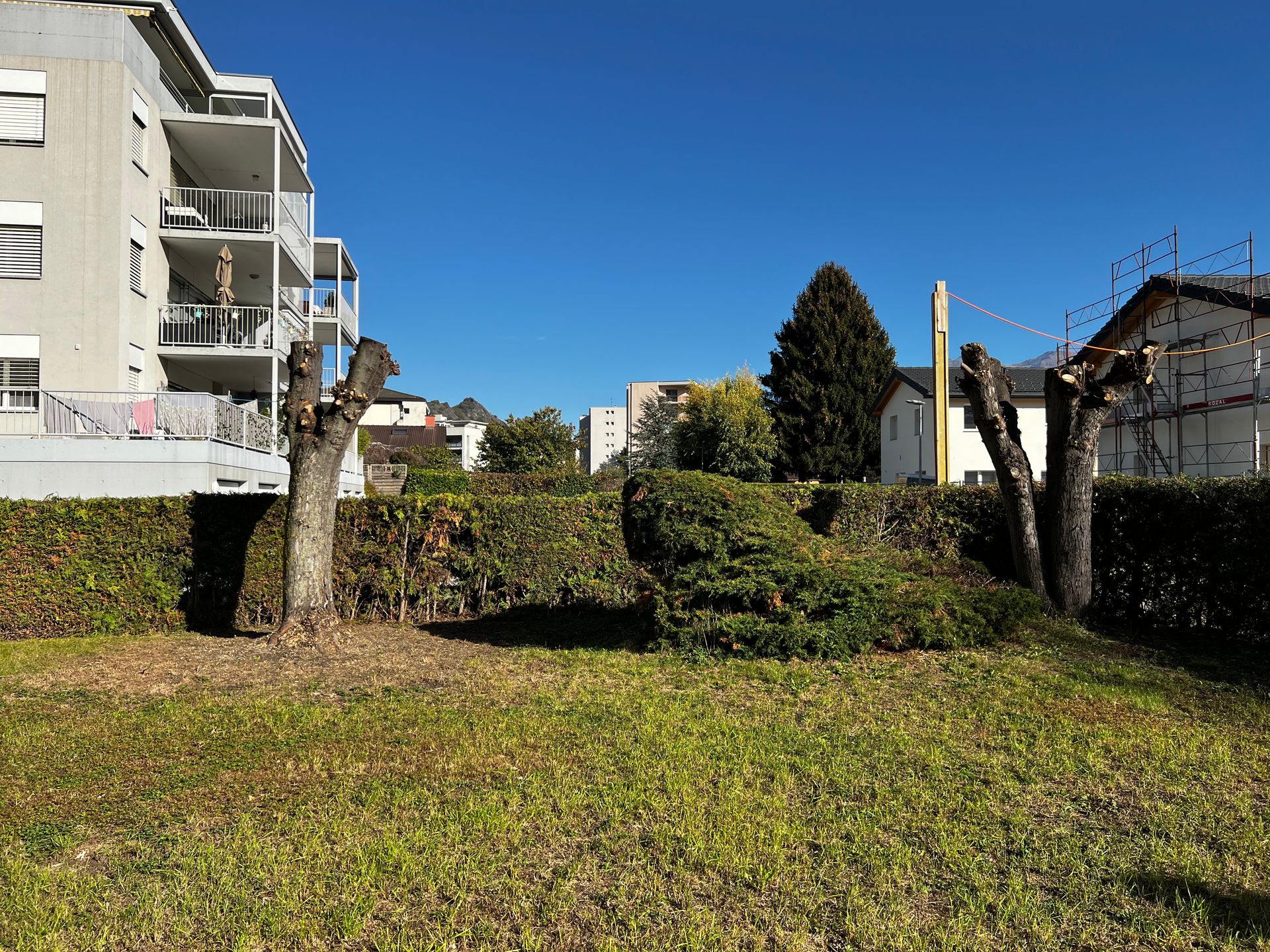 Scarification du gazon